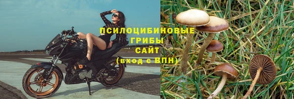 соль ск Туринск
