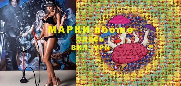 ПСИЛОЦИБИНОВЫЕ ГРИБЫ Елизово
