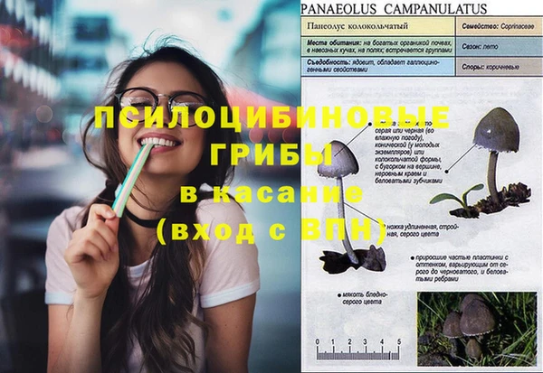 ПСИЛОЦИБИНОВЫЕ ГРИБЫ Елизово