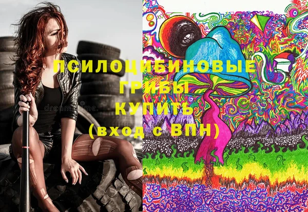 герыч Зеленокумск