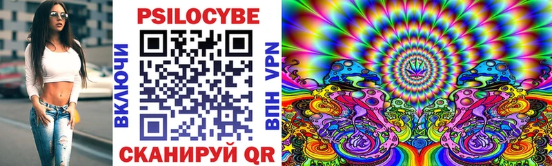 Купить где  Полевской  Псилоцибиновые грибы Psilocybine cubensis 