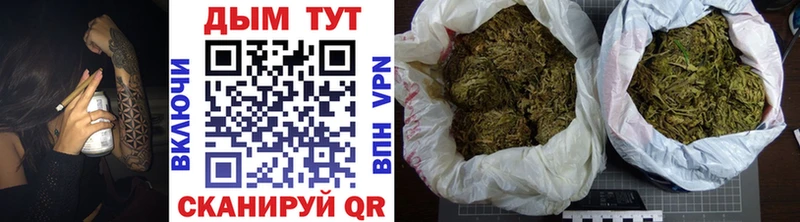 Купить закладки  Полевской  Бошки Шишки конопля 